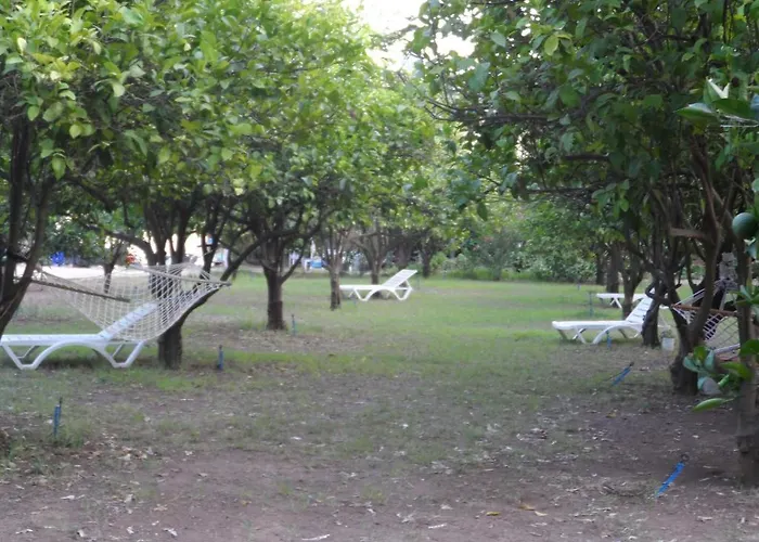 Engin * Чирали