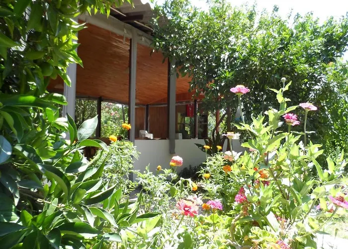 Деревянный коттедж Engin