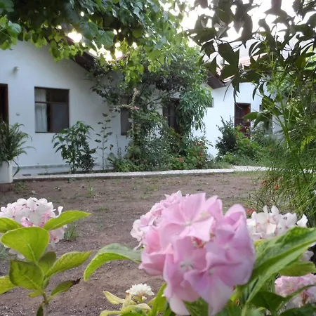 Domek letniskowy Engin